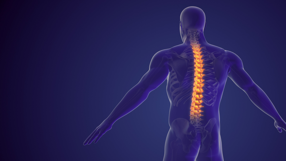 Spinal pain or back pain medical background